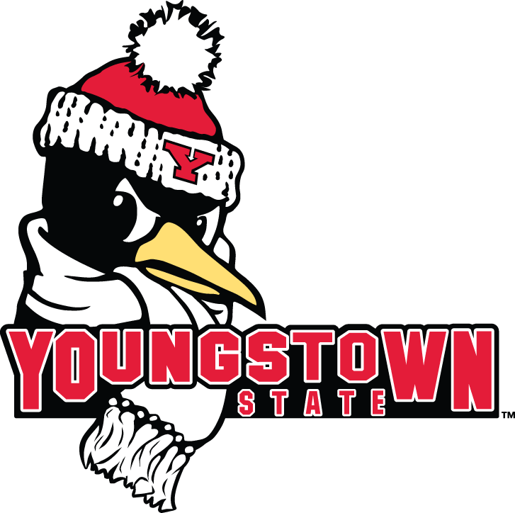 Youngstown State Penguins 2006-Pres Secondary Logo iron on transfers for fabric